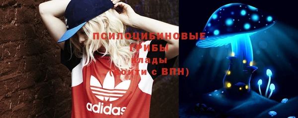амф Абинск