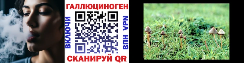 Псилоцибиновые грибы Cubensis Рыльск